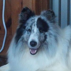 Meet your Posher, Marie